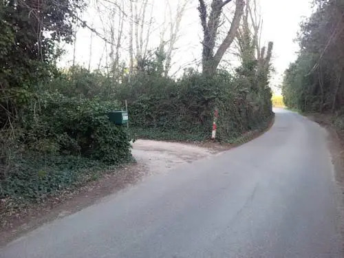 La Comtadine