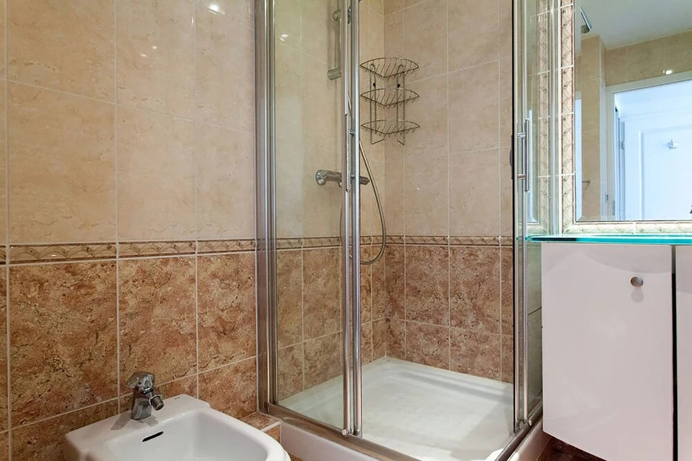 Royal Palm 127