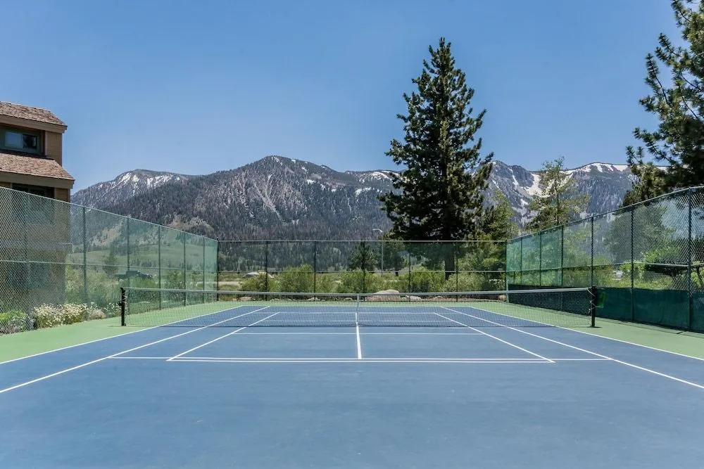 Mammoth Creek #52