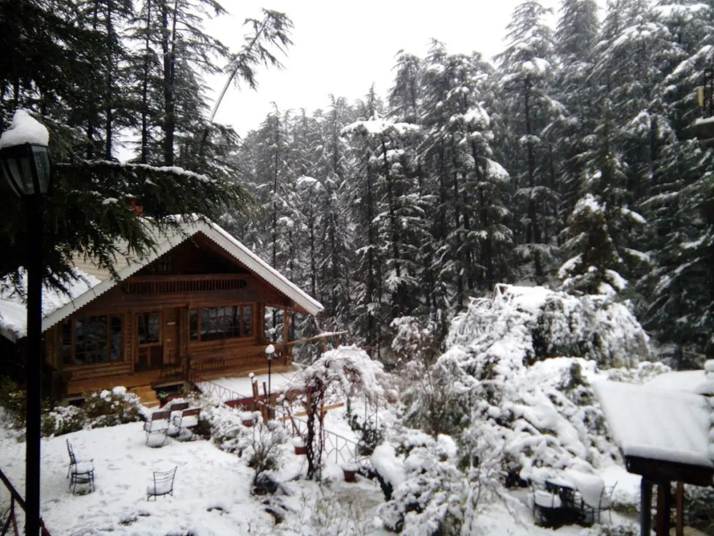 The Chalets Naldehra