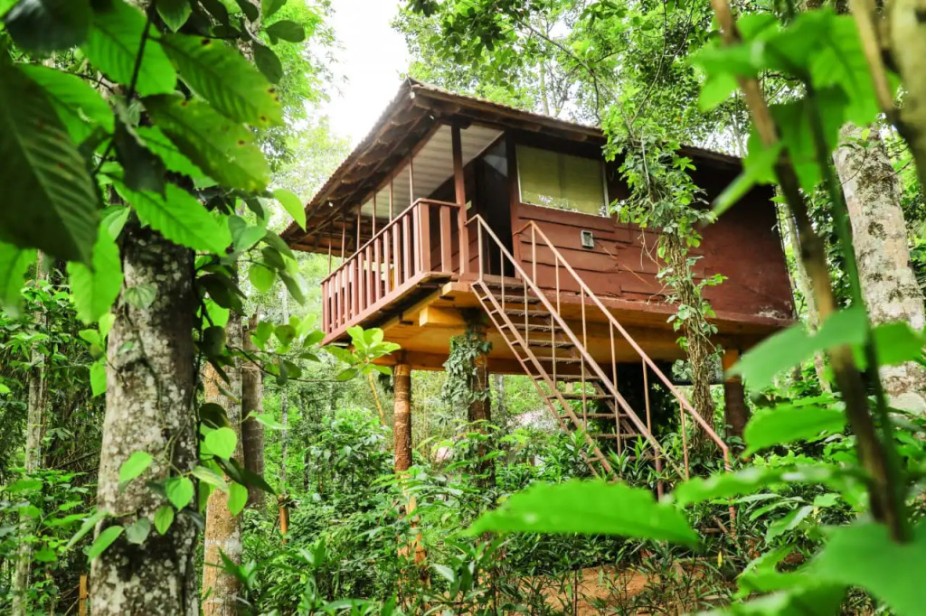 Sunbird Garden Resort