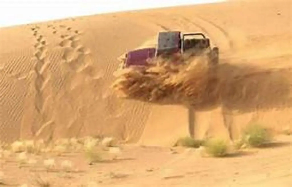 Wild Heritage Desert Camp