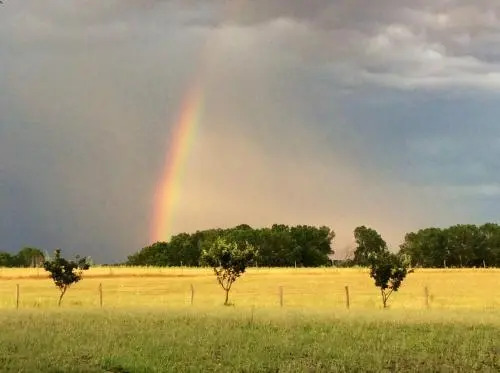 At Home In Maremma