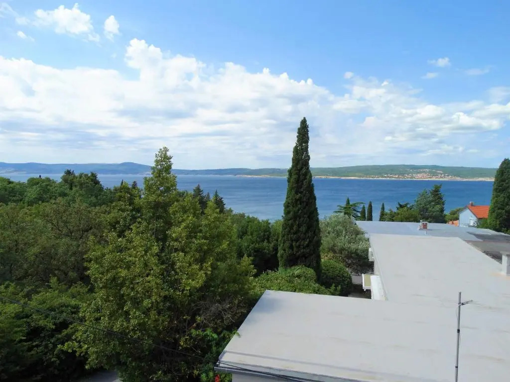 Apartman Crikvenica 30244 - Visnja silver