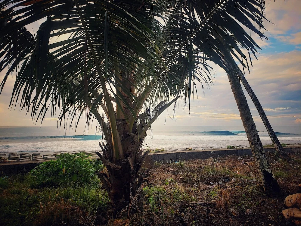 Raffiel Nias