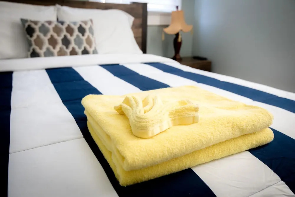 Cozy 2 BR at Constance Street