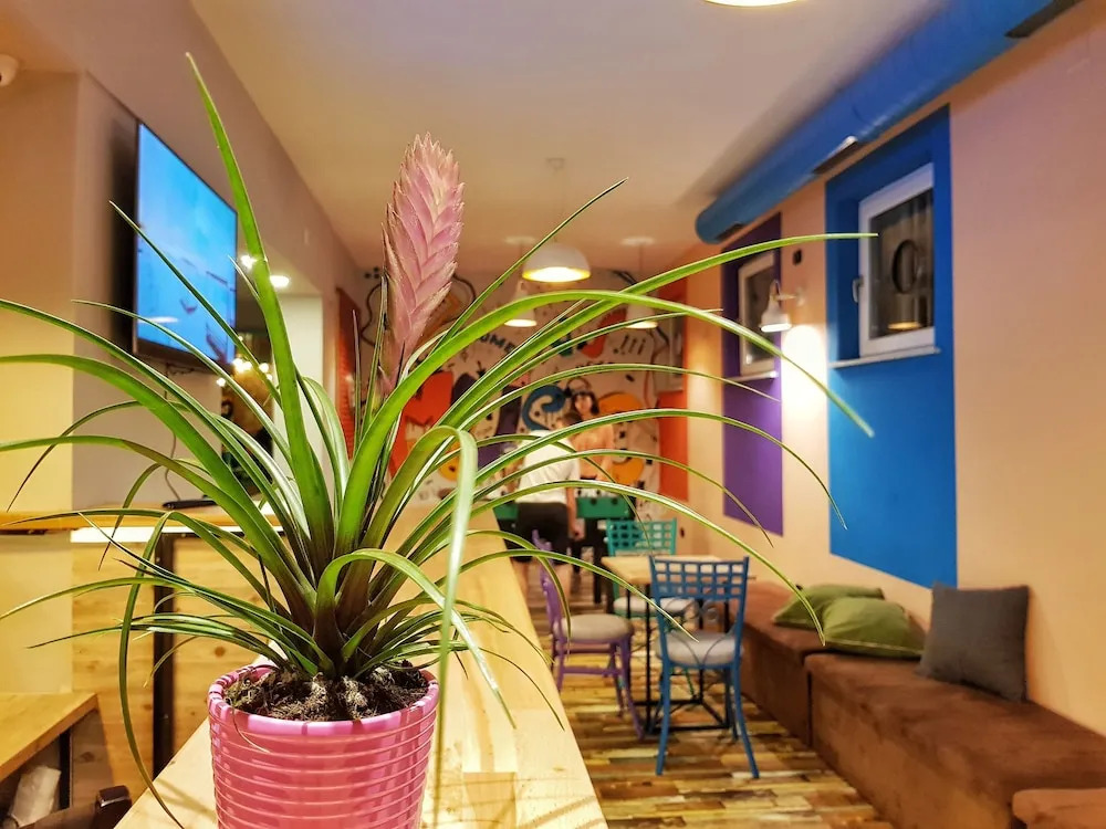 Bed Station Hostel & Bar
