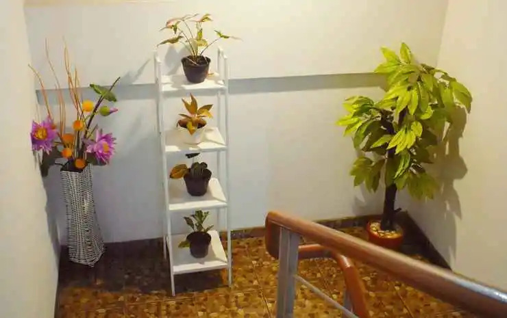 Griya Rattu Kost N Guesthouse