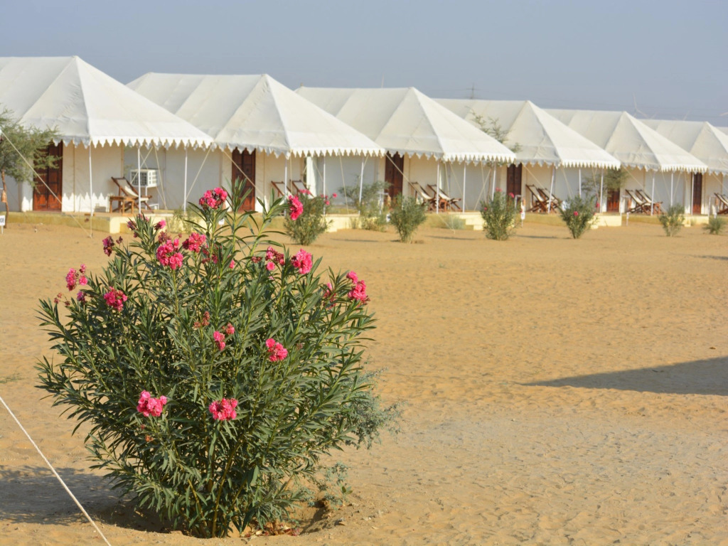 Winds Desert Camp