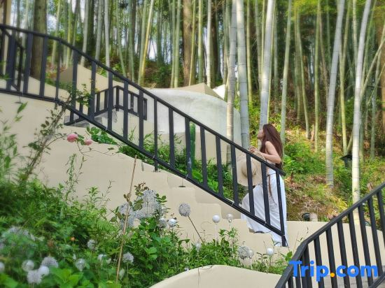 Gao Jian | Vertex Altus · 270° Panorama Private Hot Spring Luxury Stay (Zhaoxing Dong Village)