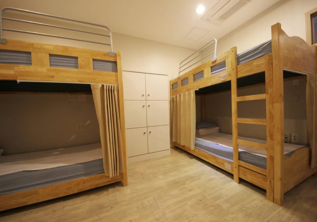 Hostel The New Day