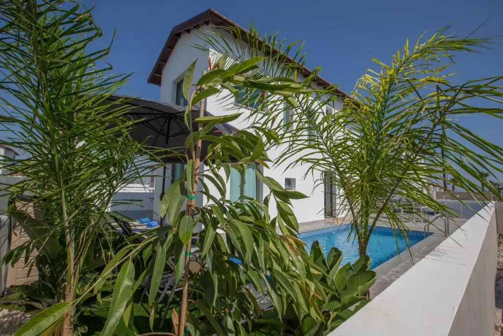 Levanda Hills 54