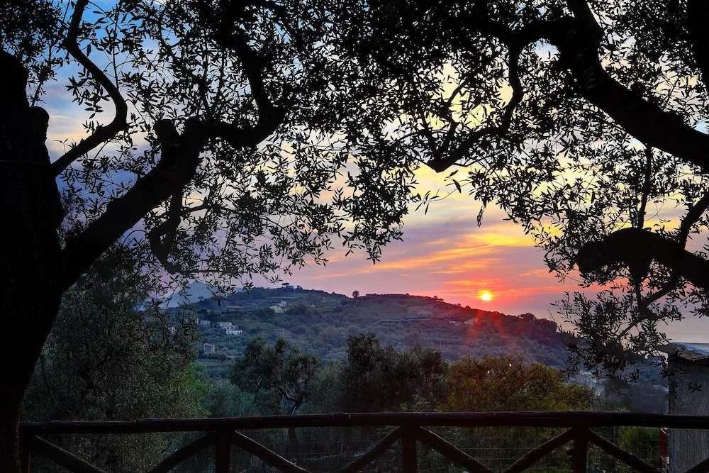 Tulipano - A Charming and Peaceful Hillside Villa With Lovely Views