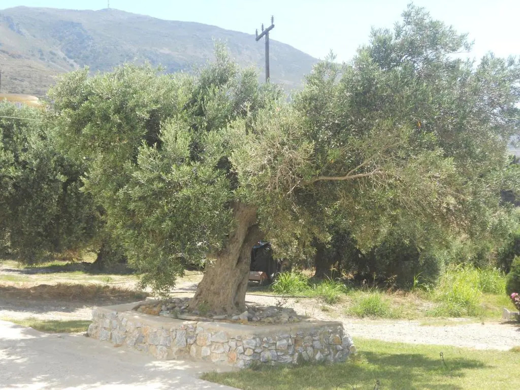 Galini Apartments