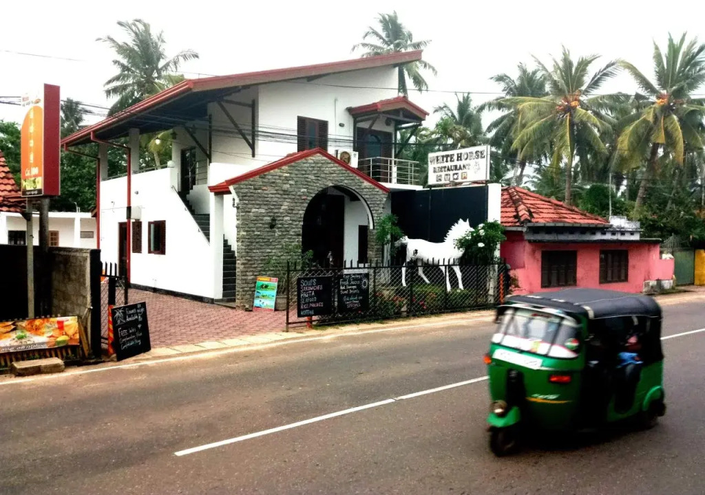 White horse mirissa