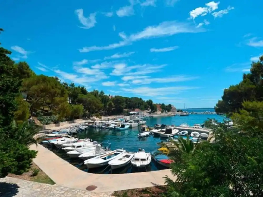 Apartment in Mandre Near the Sea