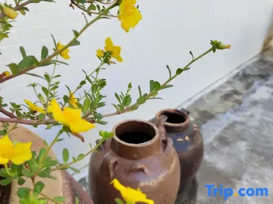 Wanning Riyue Bay Yiye Xiangcun Vacation Apartment