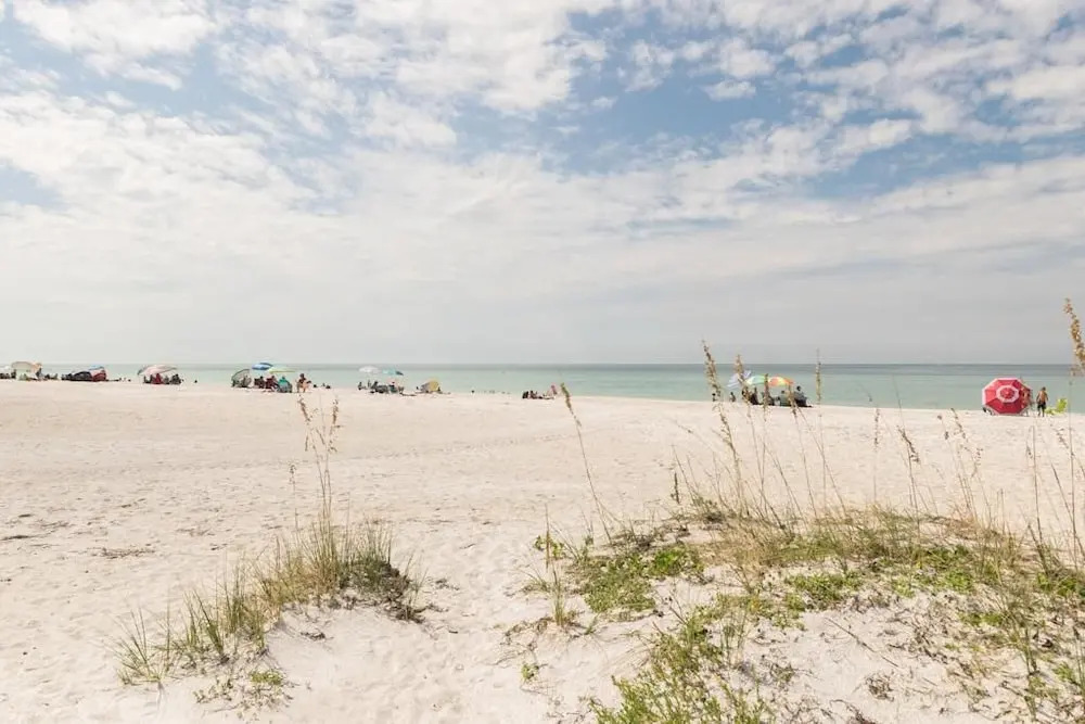 Gulf Sands 201