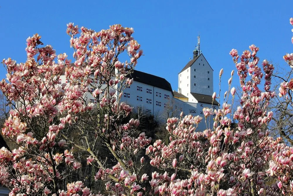 Hotel Hohenaschau
