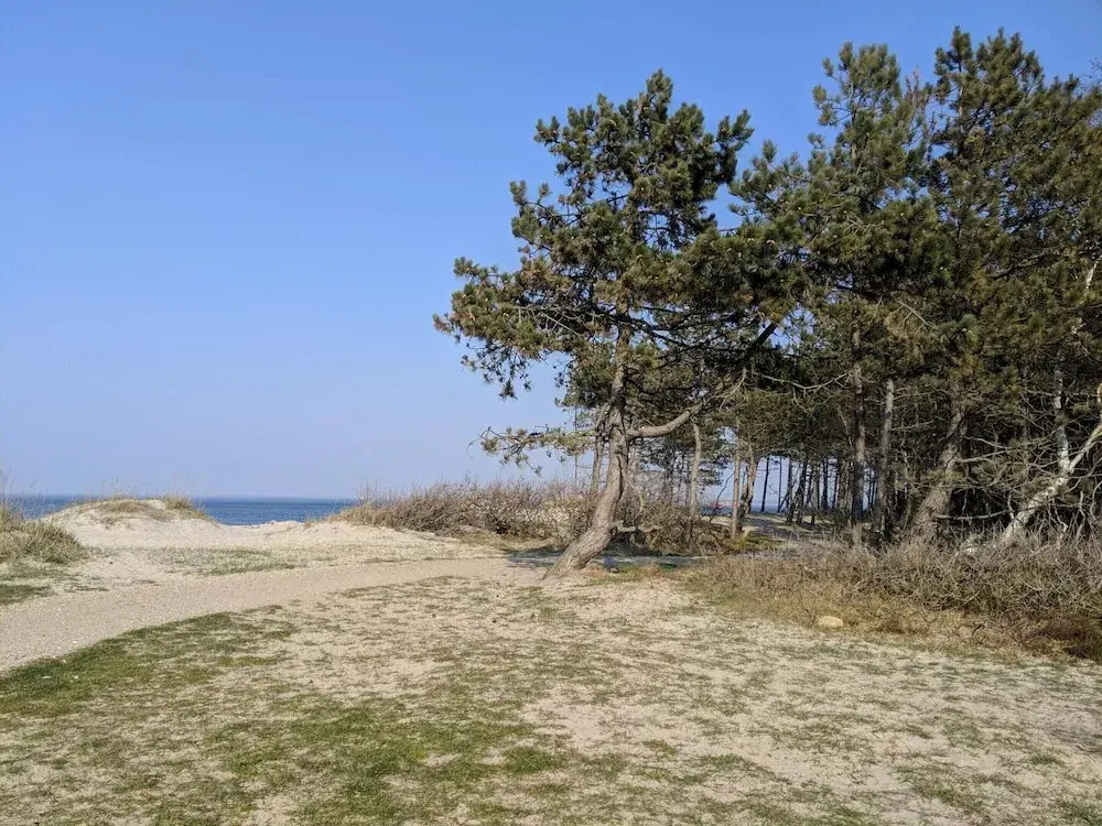 4 Person Holiday Home in Hornbaek