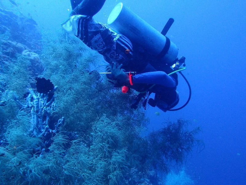 Leyte Dive Resort