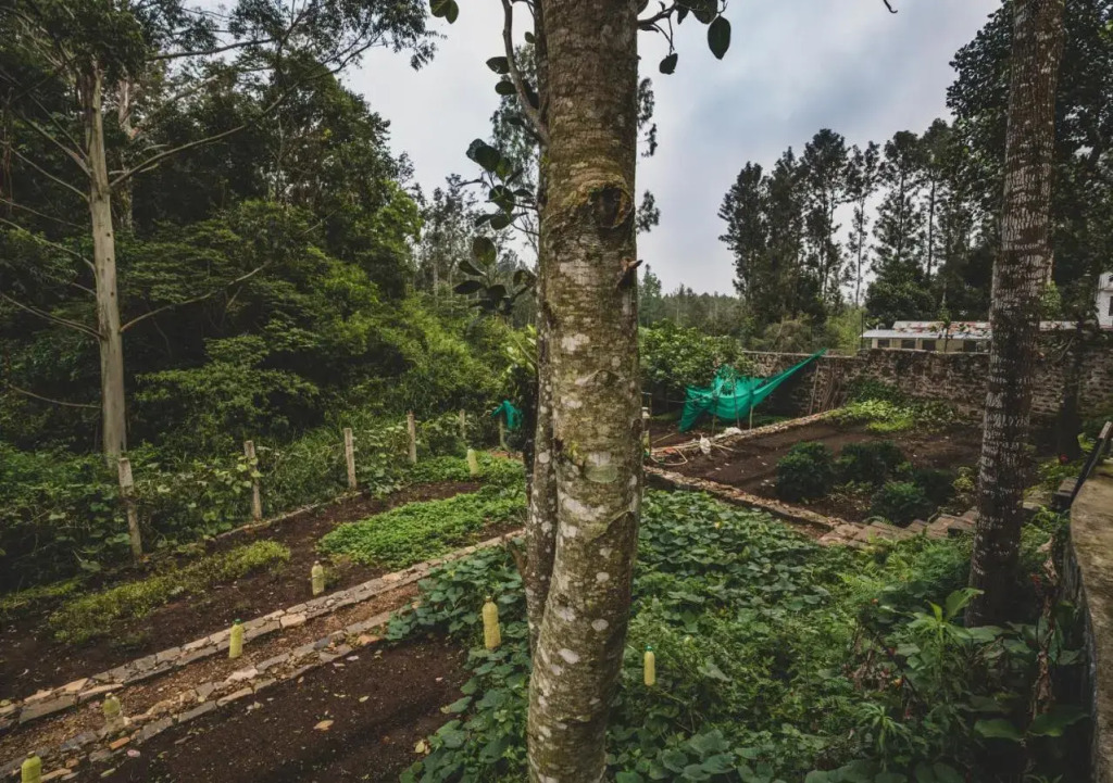 Shambala Yercaud