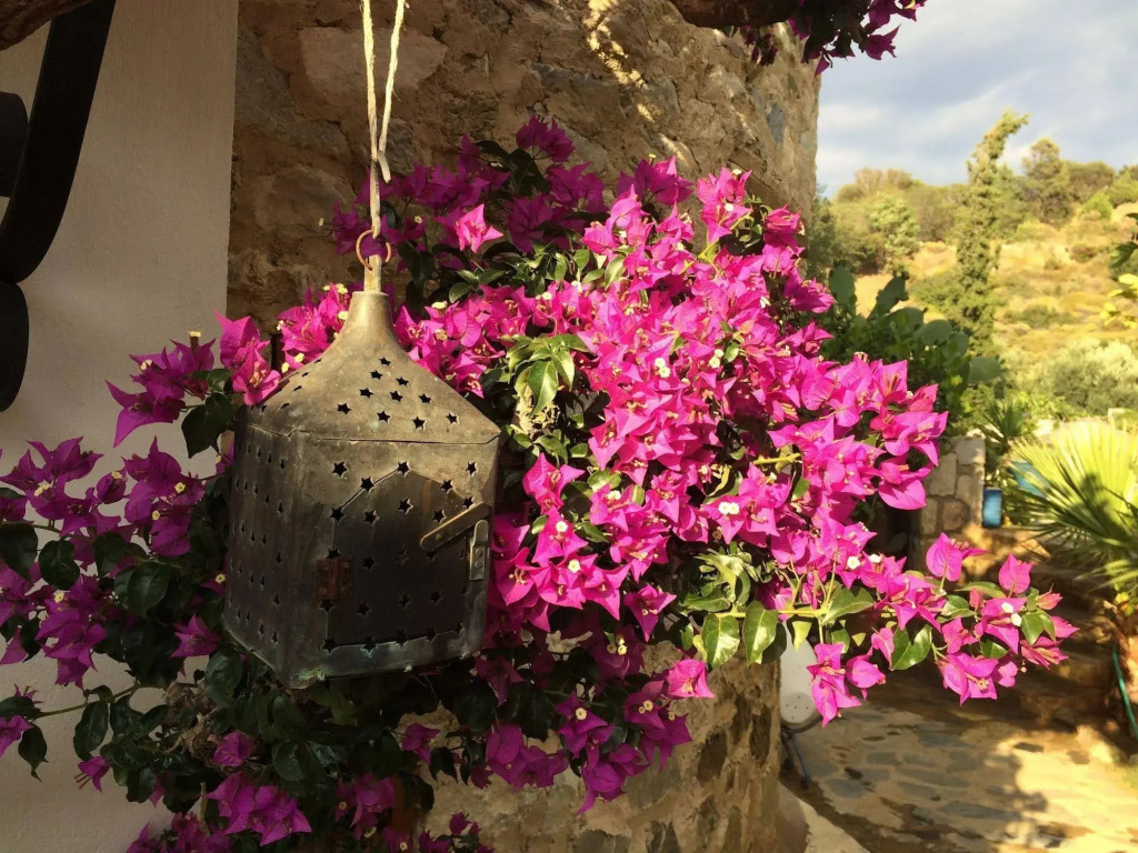 Hotel Villa Tokur