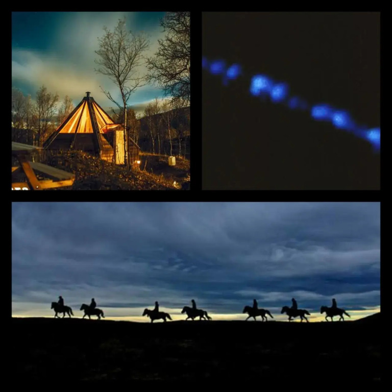 Ufocamp