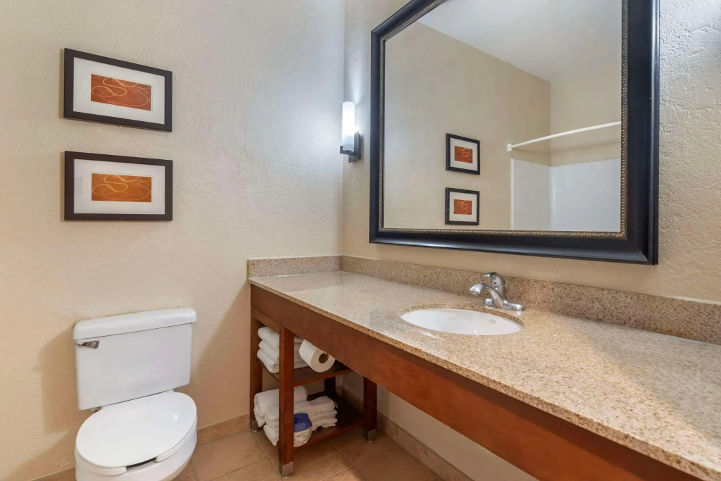 Comfort Suites McKinney-Allen