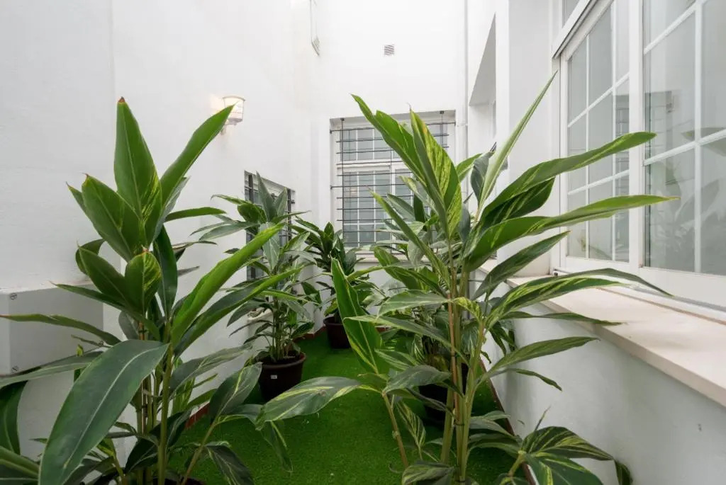 ML1C-Prime Location Marble Apartment with Patios