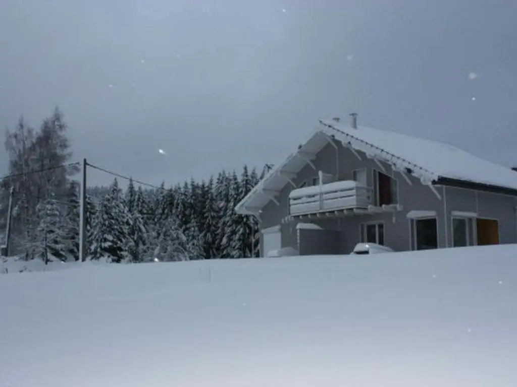 Gîte calme avec terrasse près de Gérardmer - FR-1-589-158