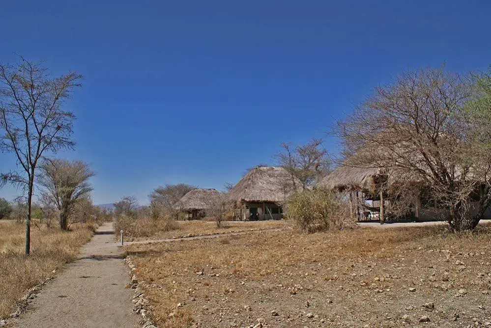 Whistling Thorn Tented Camp