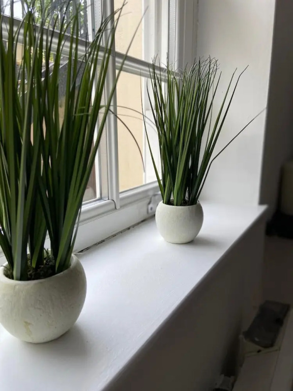Modern 1 Bed Apartment