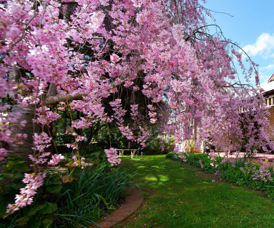 The Dudley Boutique Hotel