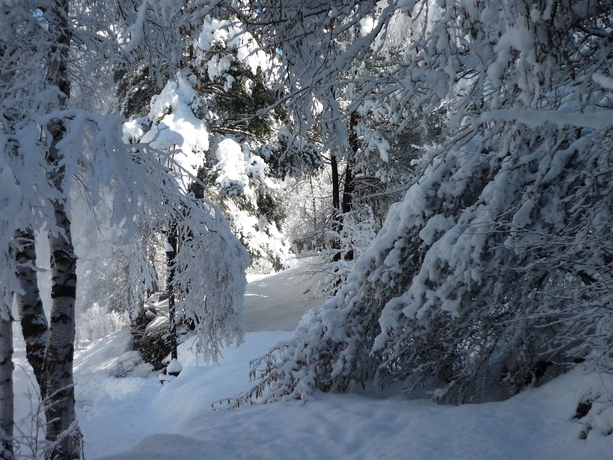 Apartaments La Neu-Mountain Lodges & Restaurant