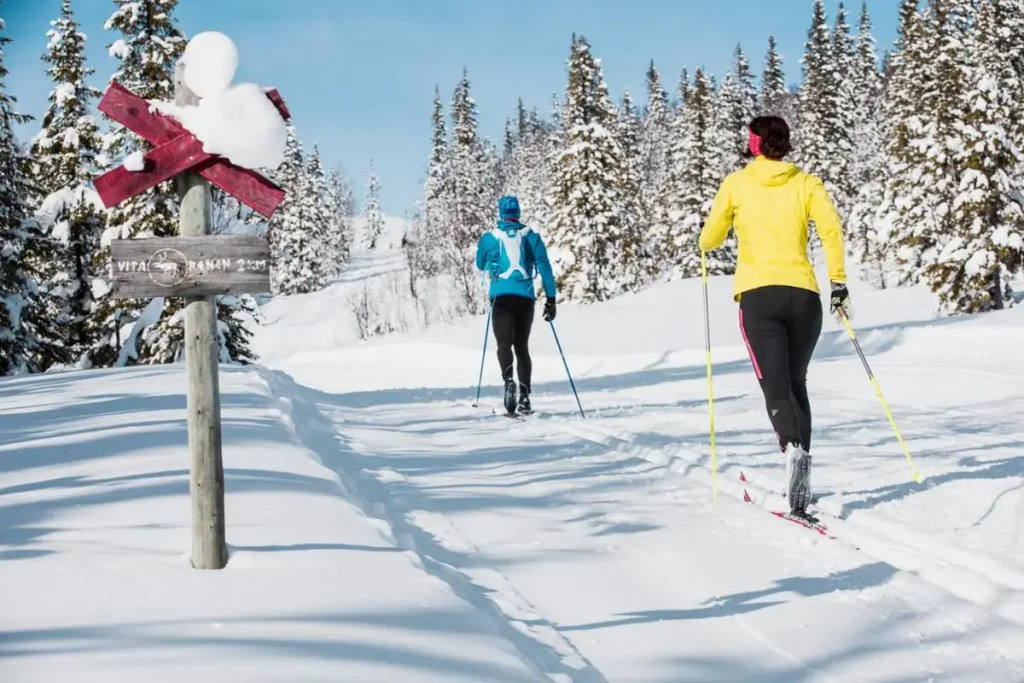 Edsåsdalen Fjällstation & Fjällby
