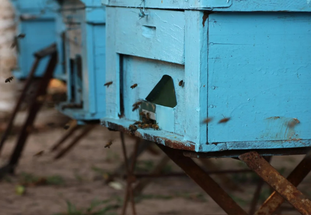 Pepper Farm Phu Quoc Bungalow