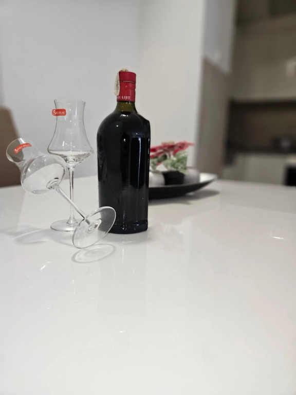 Apartment S&M