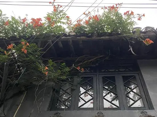 Shanghai Xufeng Changxiang Homestay