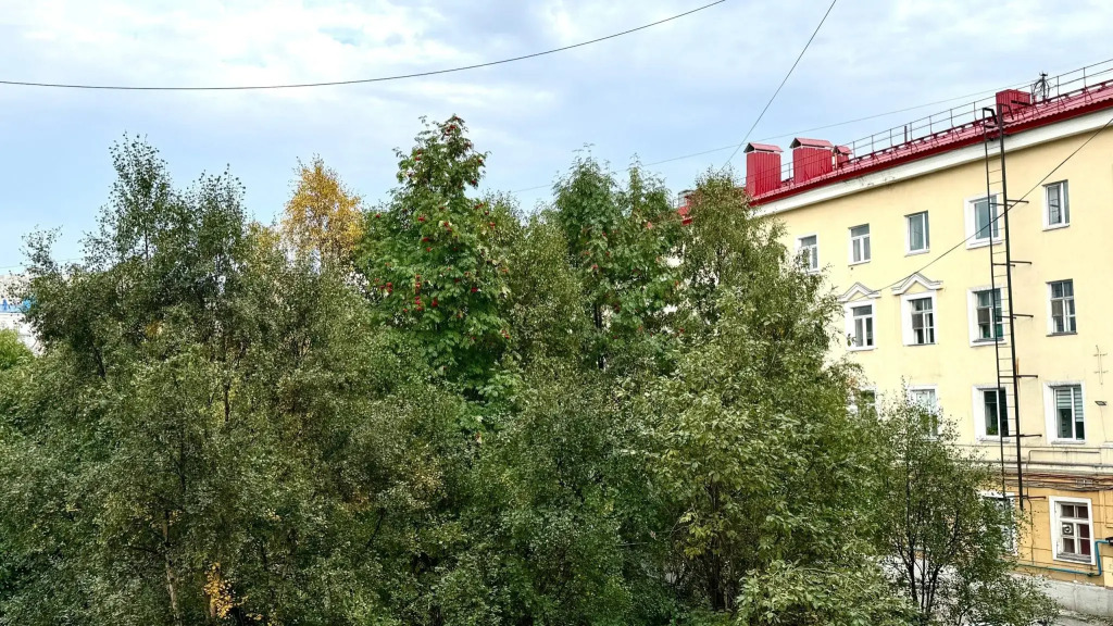 На сутки 51 на улице Профсоюзов