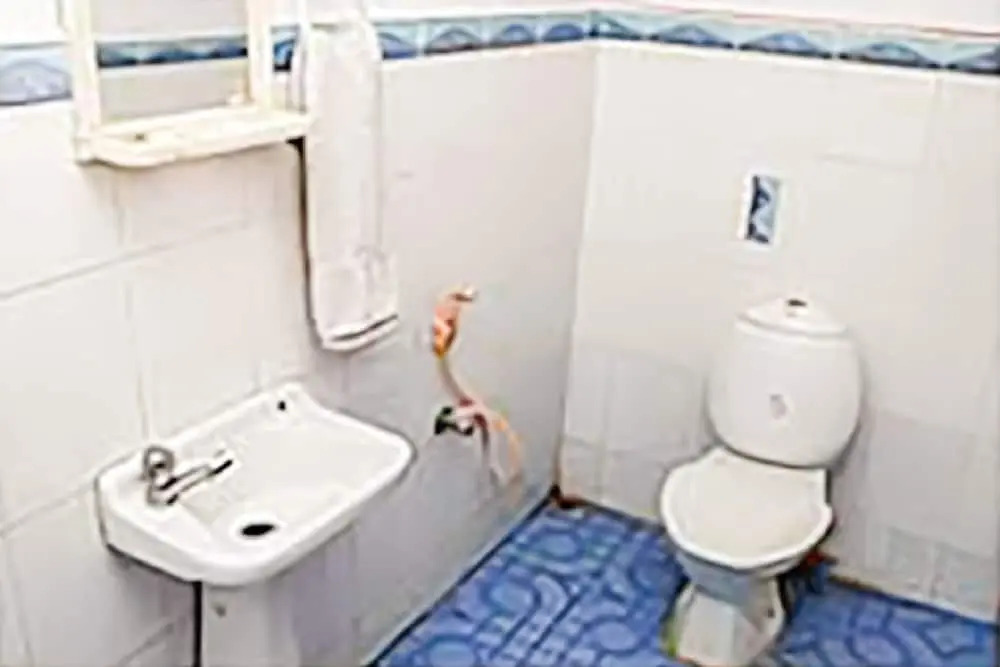 GuestHouser 3 BHK Houseboat e567