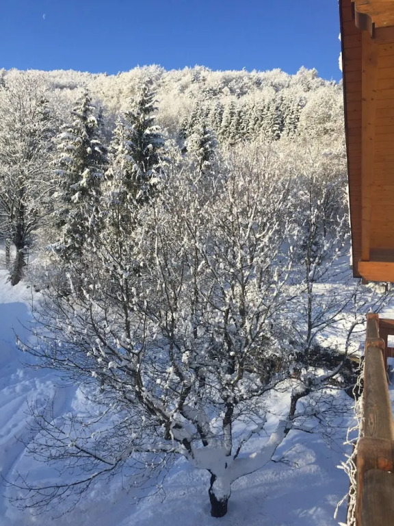 Casa Dalsass - Appartamenti nel verde