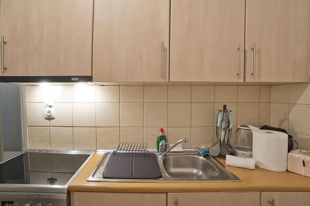 Homely Athens Apartment