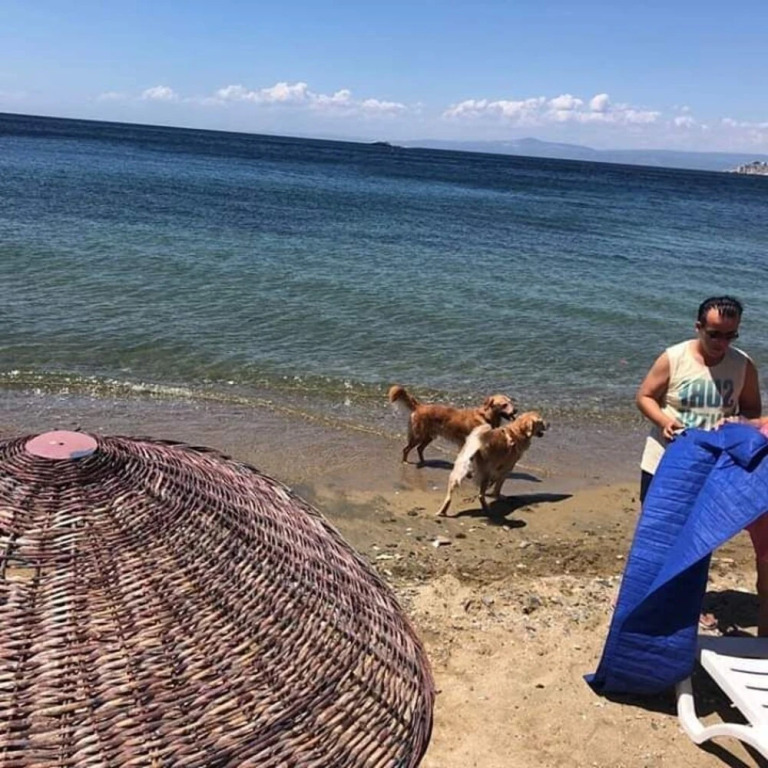 Elisa Tatil Koyu