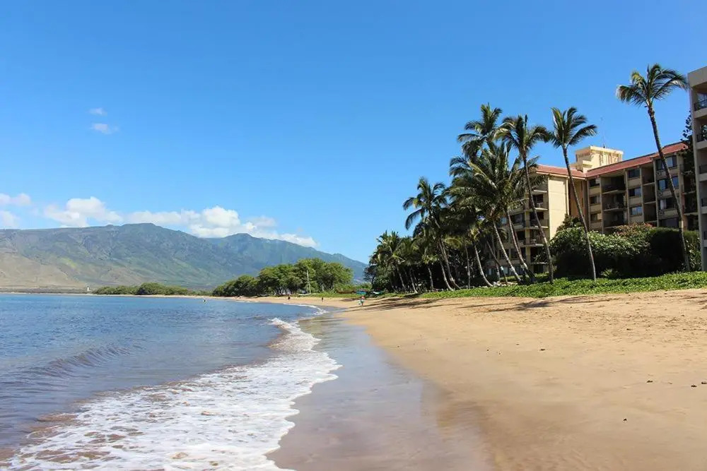 Kealia Resort 203