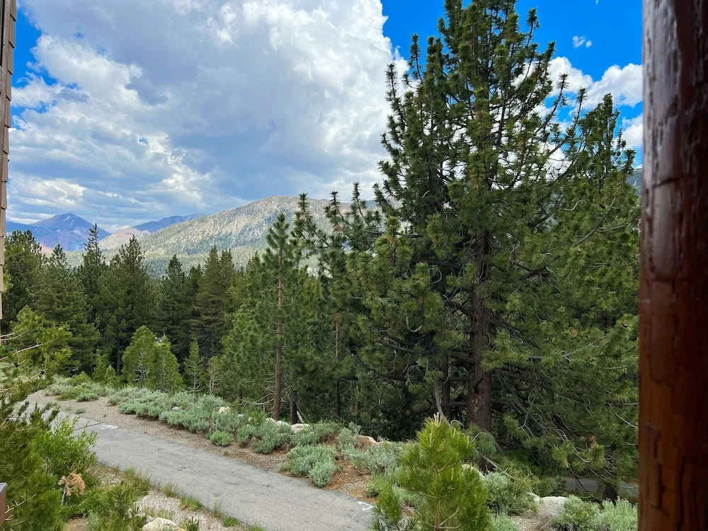 Juniper Crest Townhomes