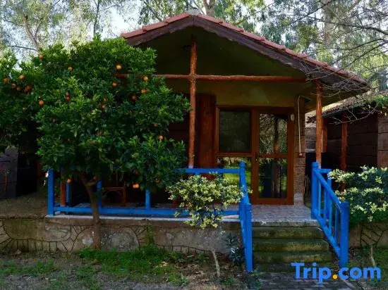Welt Bungalows Belenbaşı