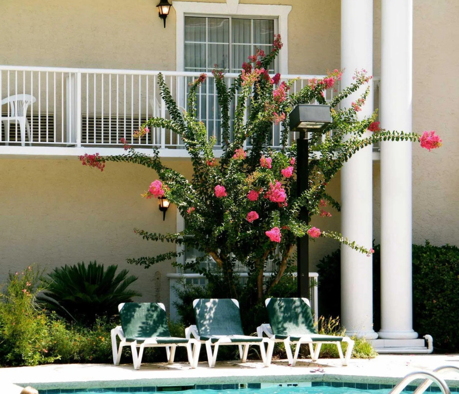 Palmera Inn and Suites