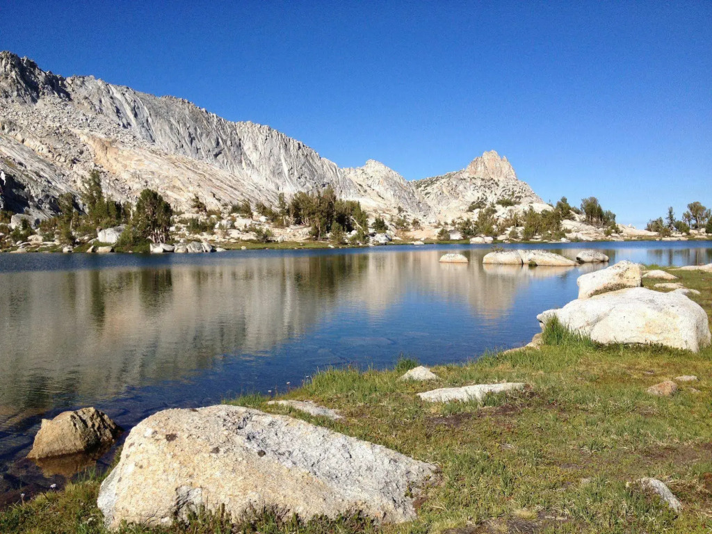Inside Yosemite Sierra Blossom
