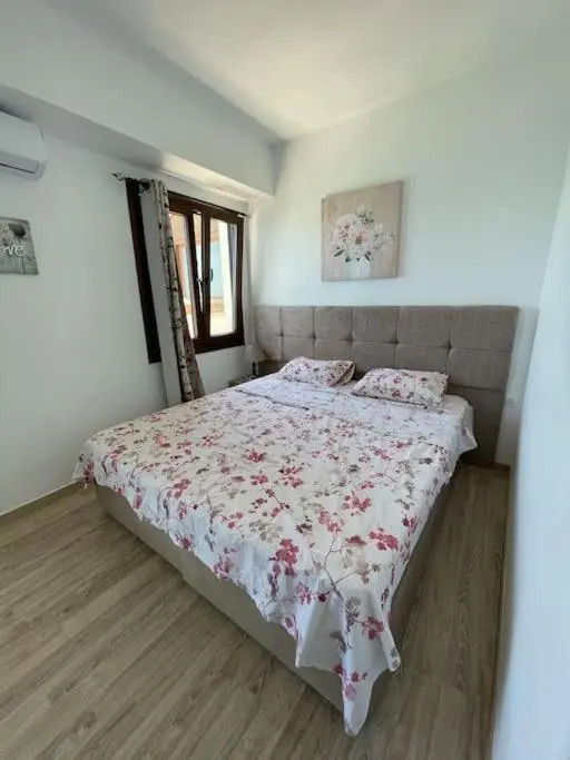 Galaris Studio